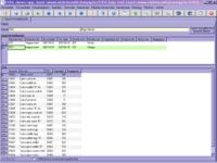 Egyedi ármegállapodás képernyő