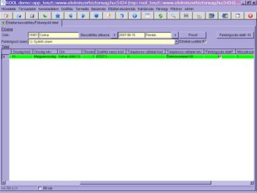 feldolgozás alatti tétel