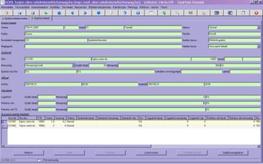 új szortás feladat