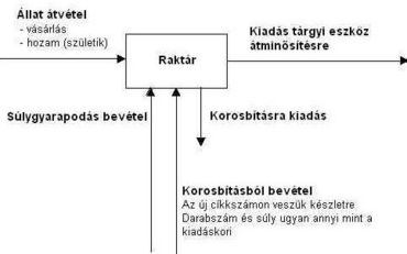 állatkezelése kezelése