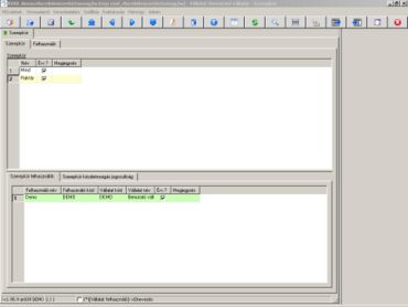 Szerpkörhöz rendelhető készletmozgás jogosultságok
