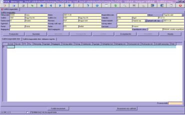 megrendelés tétel rögzítése