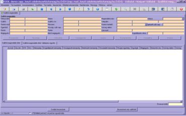 paritás/vállalathoz tartozó vásárlás mozgásnem beállítás