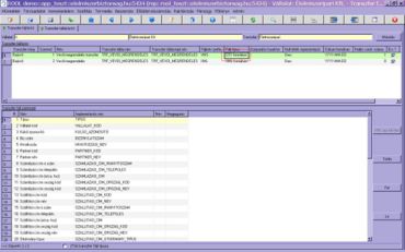 fájlnév prefix (transzfer fájl leíró)