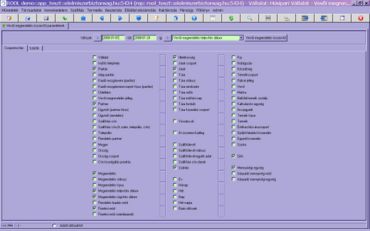 vevői megrendelés összesítő munkafüzet/csoportosítás fül